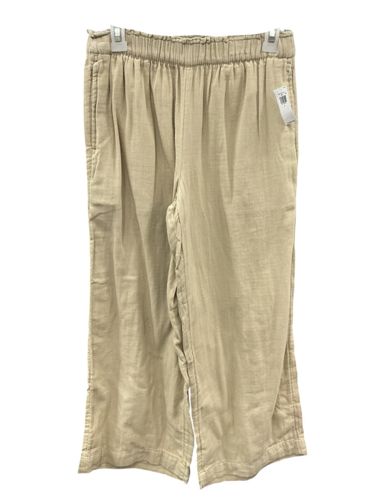 Pescador S (OLD NAVY)