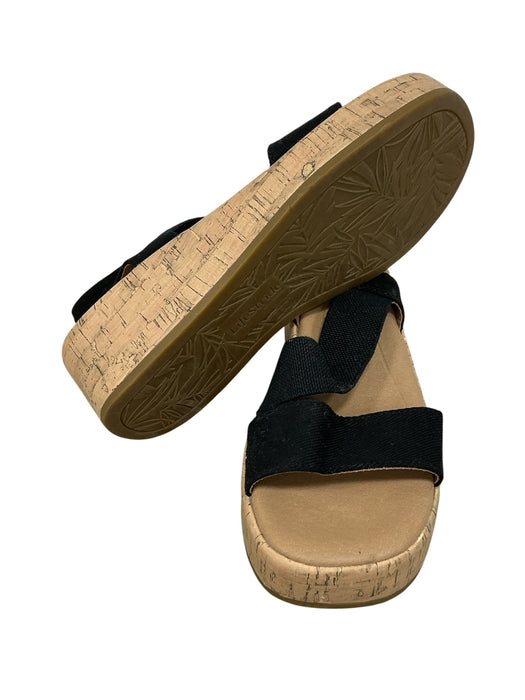 Plataforma 6 (LIFE STRIDE)