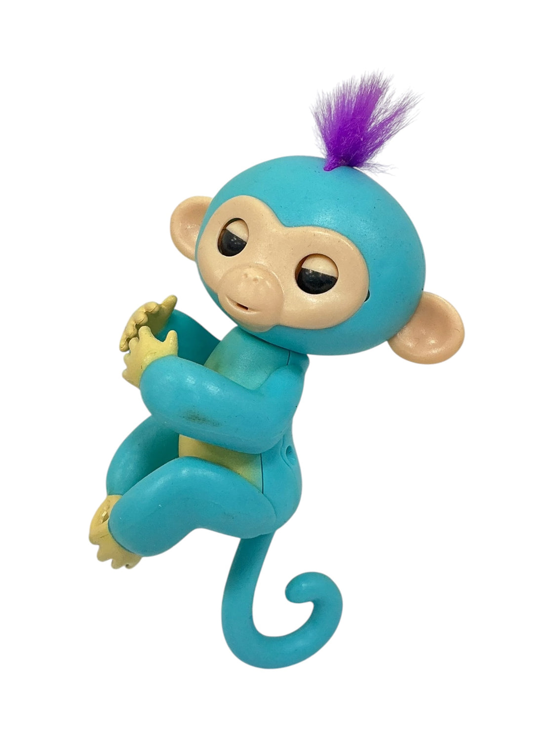 Zoe