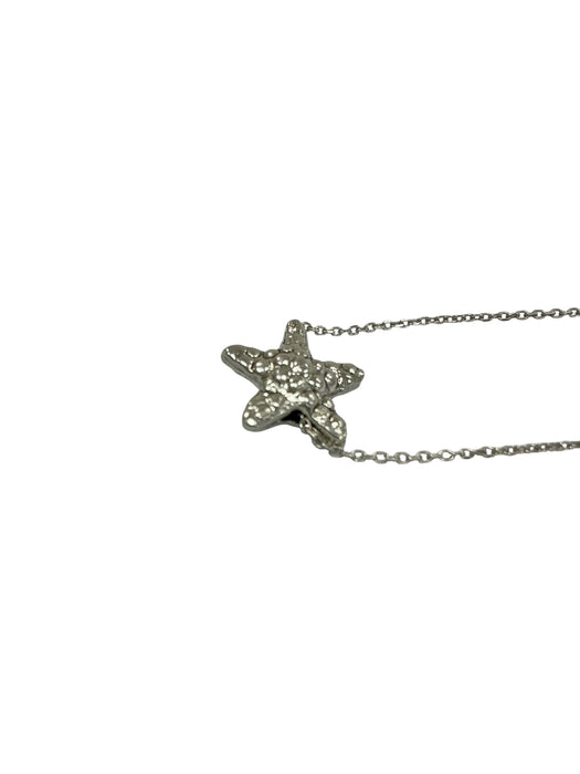 Cadena de plata (925)