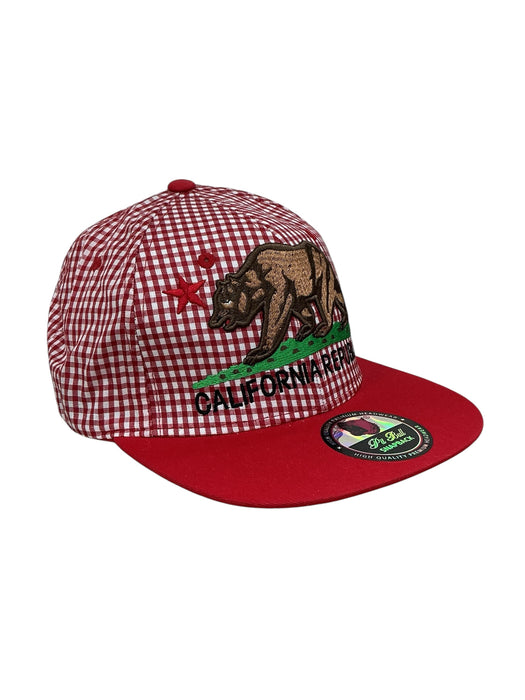 Gorra (PIT BULL)