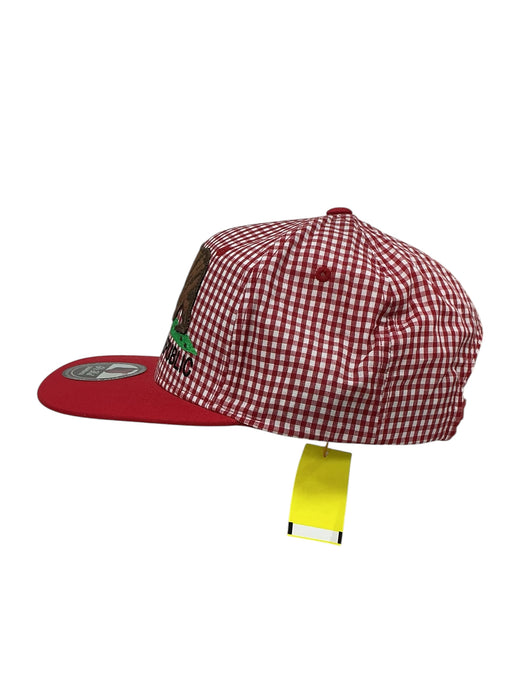 Gorra (PIT BULL)