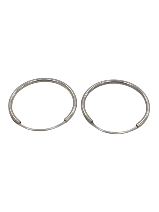 Aretes de plata