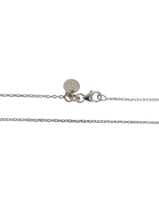 Collar de plata (925)