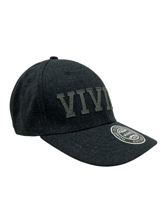 Gorra (VIVINT)