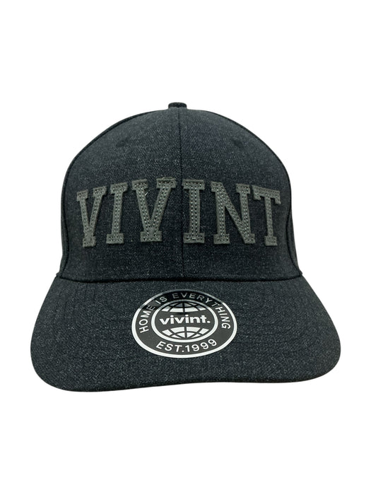 Gorra (VIVINT)
