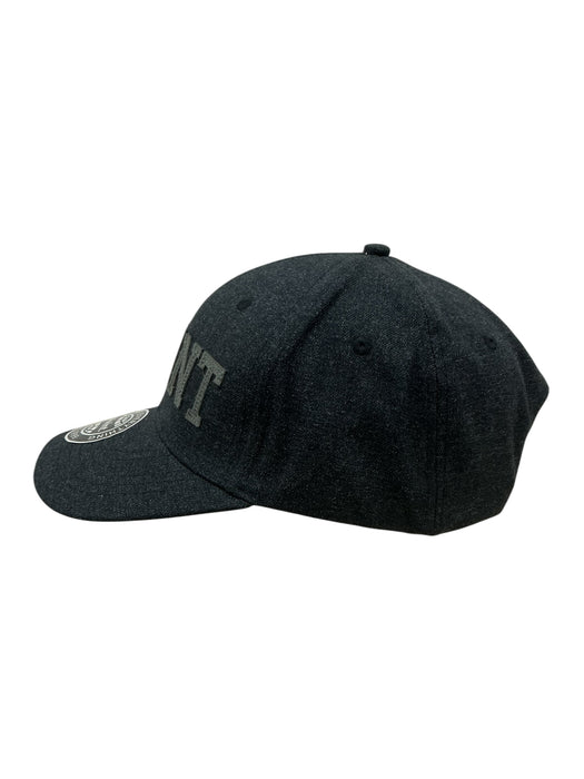 Gorra (VIVINT)
