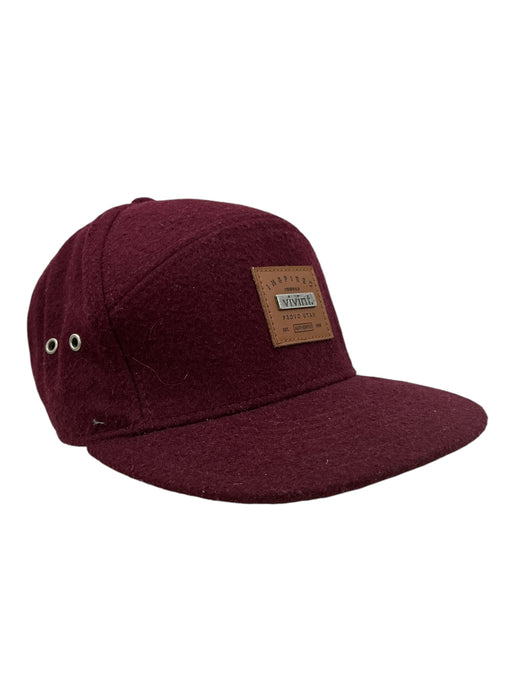 Gorra (VIVINT)