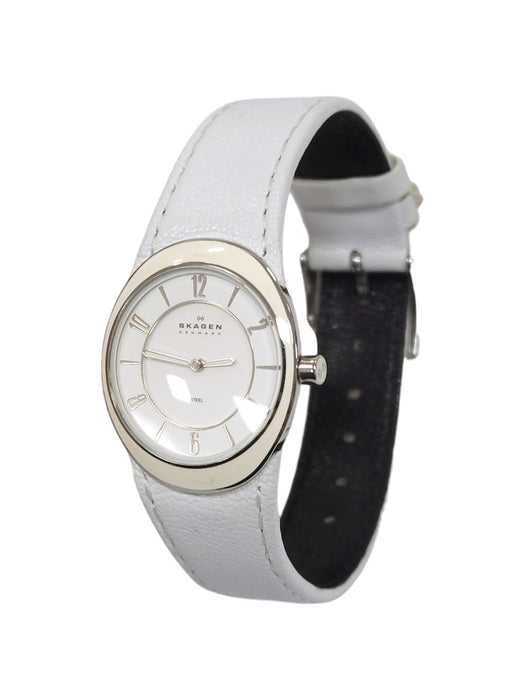 Reloj (SKAGEN)