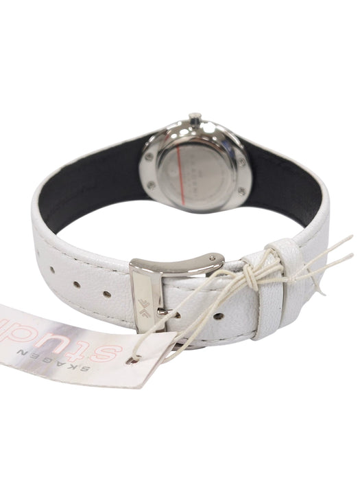Reloj (SKAGEN)