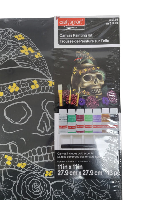 Kit de pintura en lienzo (CRAFT SMART)