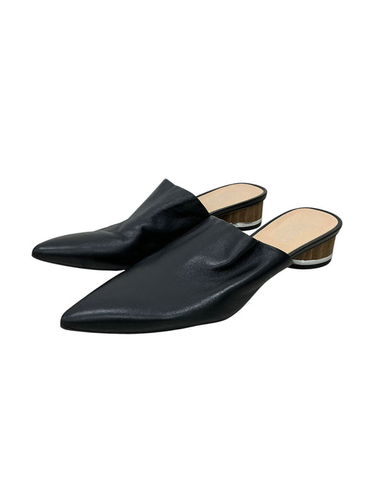 Zapato 8 (FRANCO SARTO)