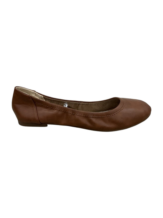 Zapato 8.5 (AMAZON ESSENTIALS)