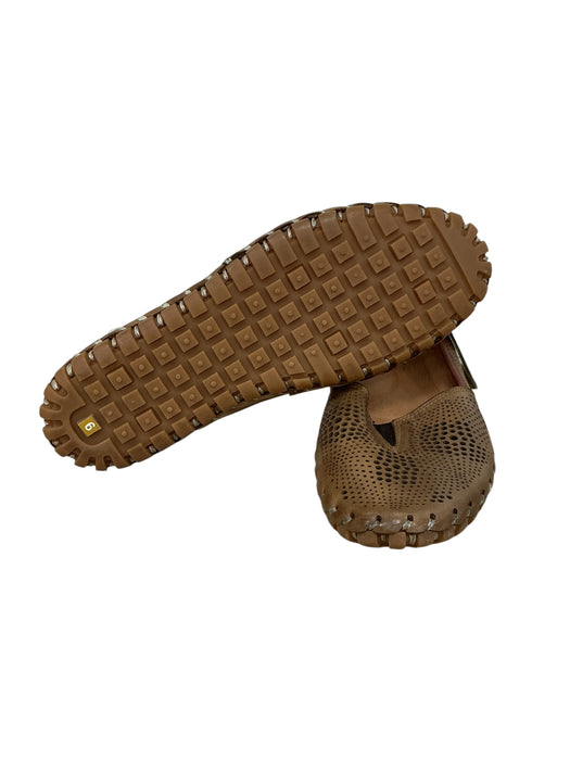 Zapato 6
