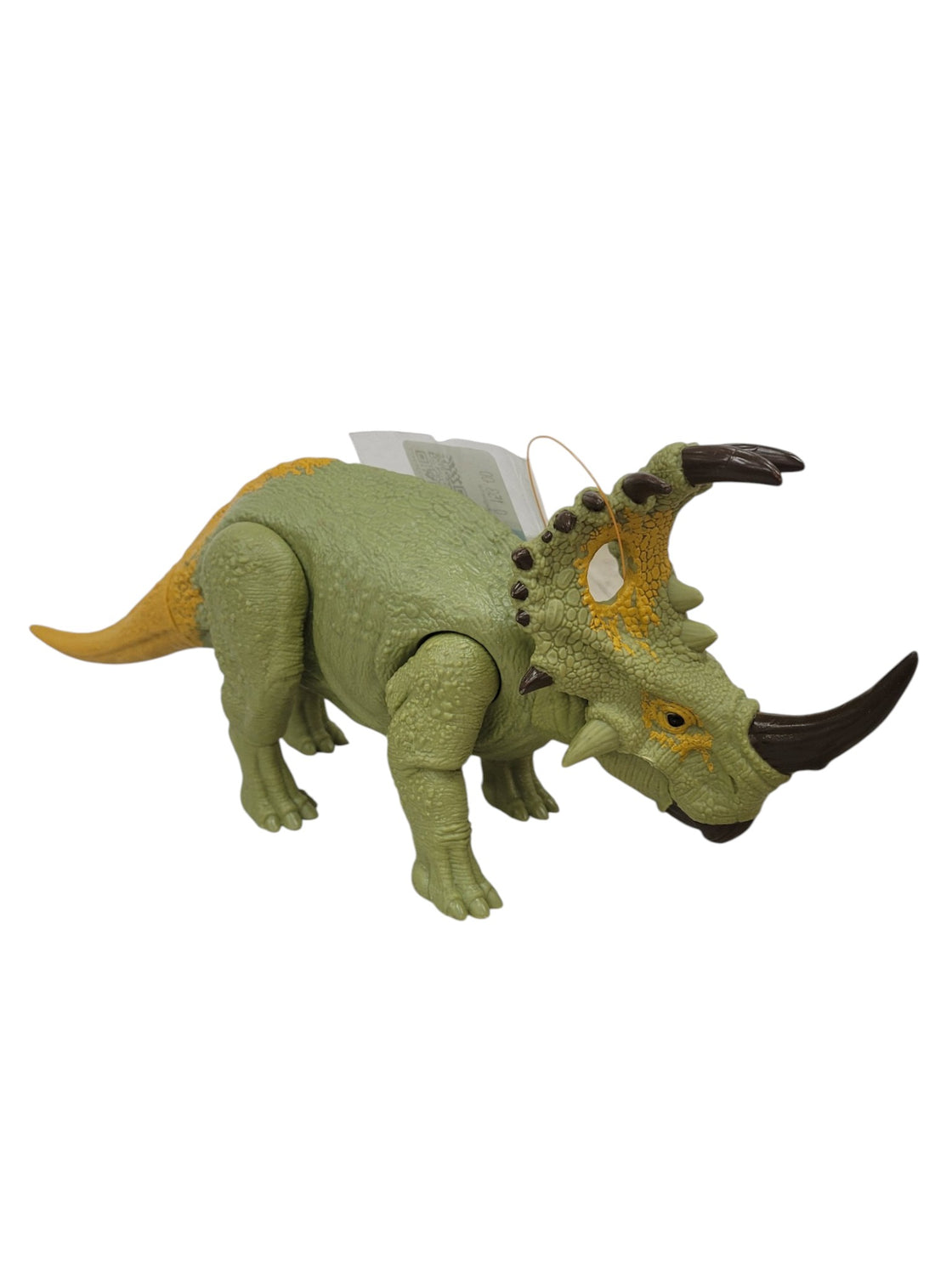 Triceratops