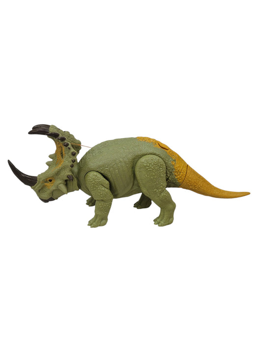 Triceratops