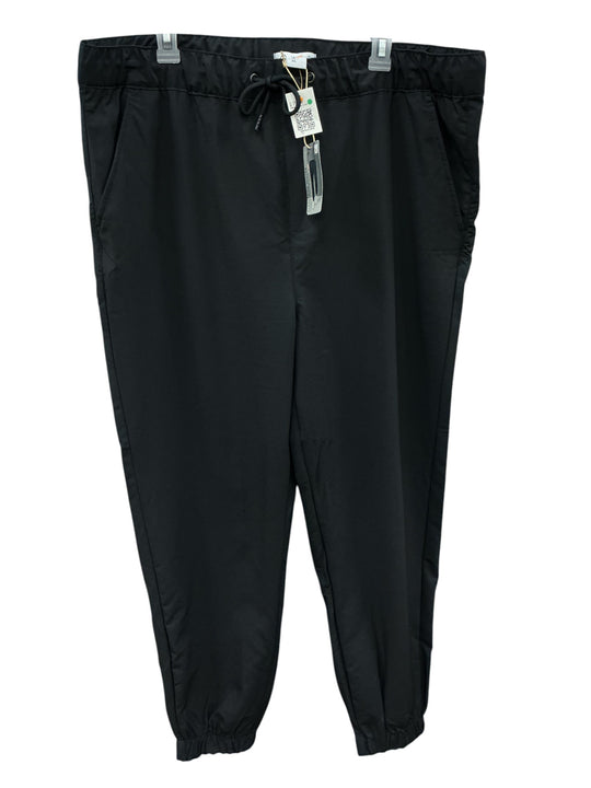 Pants XL (7th avenue)