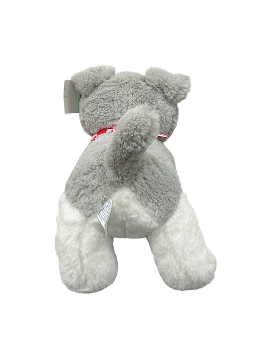 Perro Schnauzer (HUGME)