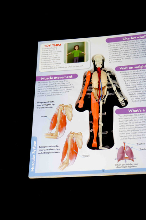 Libro de anatomía humana (Silver Dolphin)