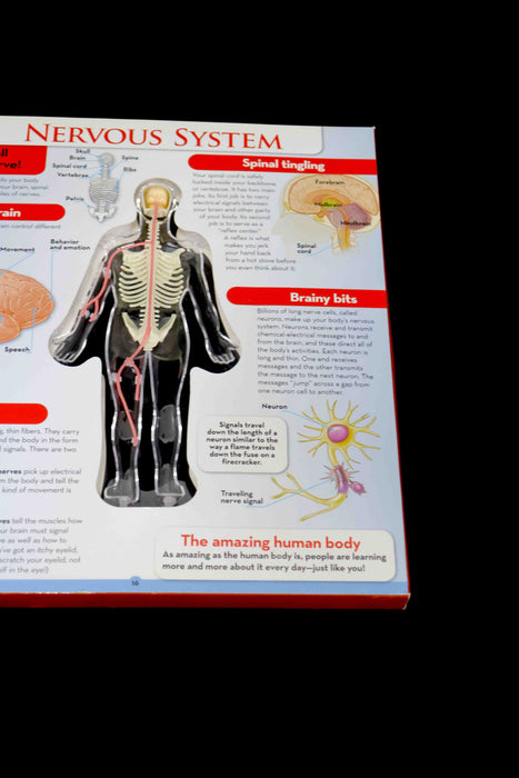 Libro de anatomía humana (Silver Dolphin)