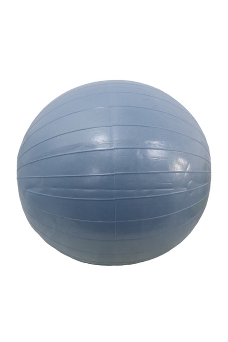 Pelota de ejercicio (ALL IN MOTION)