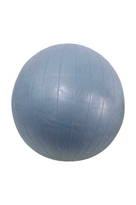 Pelota de ejercicio (ALL IN MOTION)