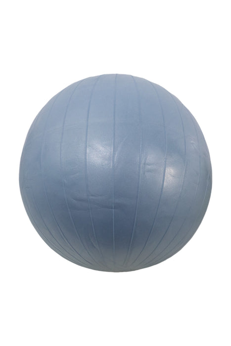 Pelota de ejercicio (ALL IN MOTION)