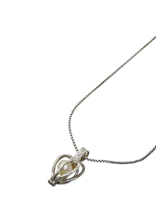 Cadena de plata (925)