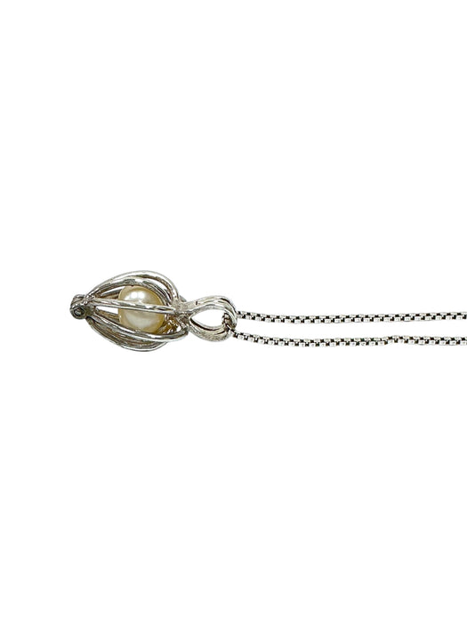 Cadena de plata (925)
