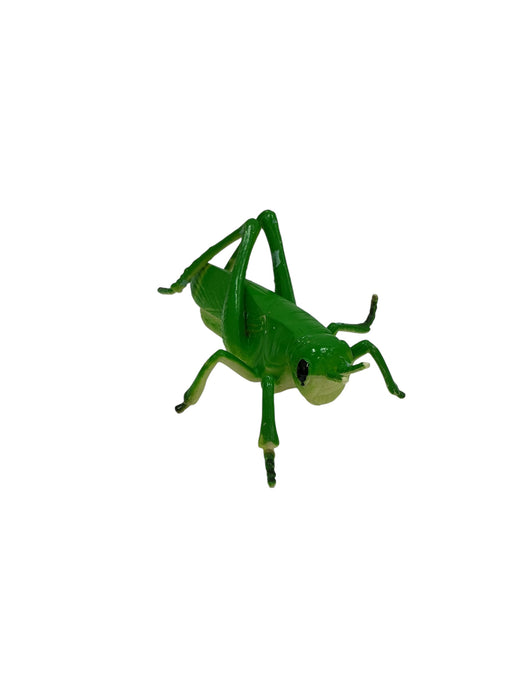 Set de insectos