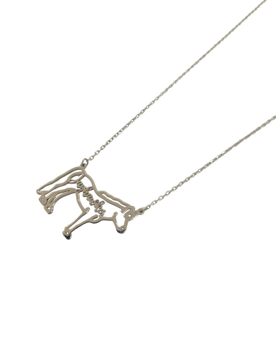 Collar de plata (925)