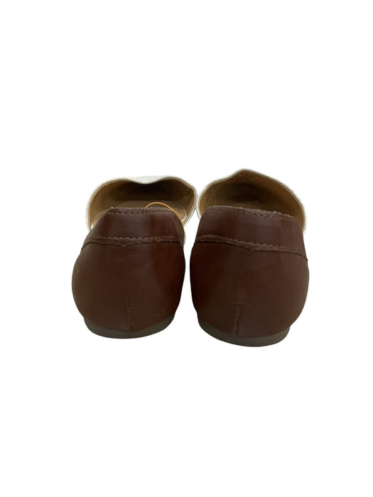 Zapato 7.5 (FIONI)