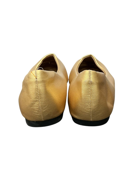 Zapato Bajo