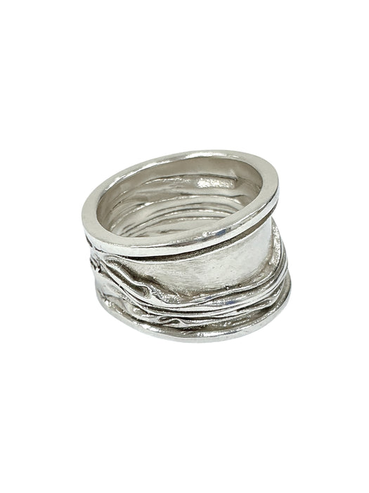 Anillo de plata