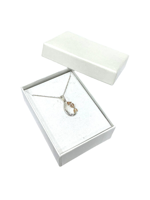 Cadena de plata (925)