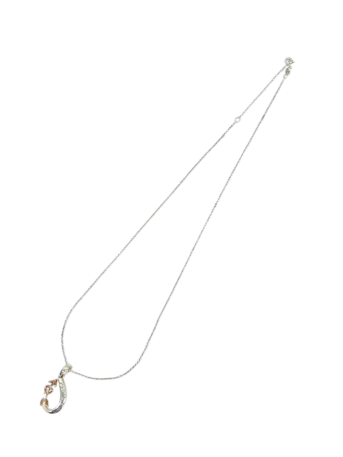 Cadena de plata (925)