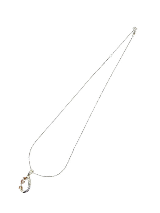 Cadena de plata (925)