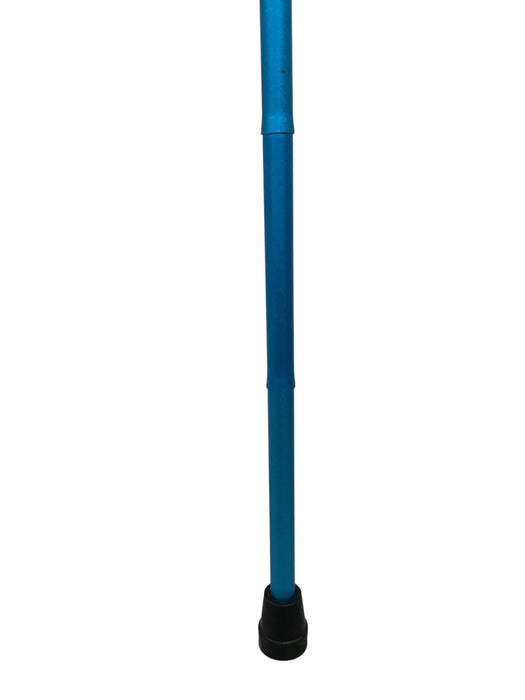 Bastón (VIVE)