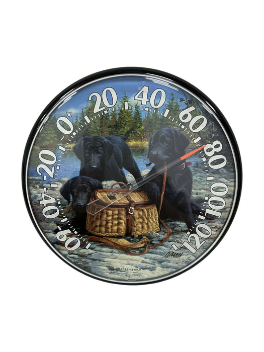 Termómetro de pared (ACURITE)