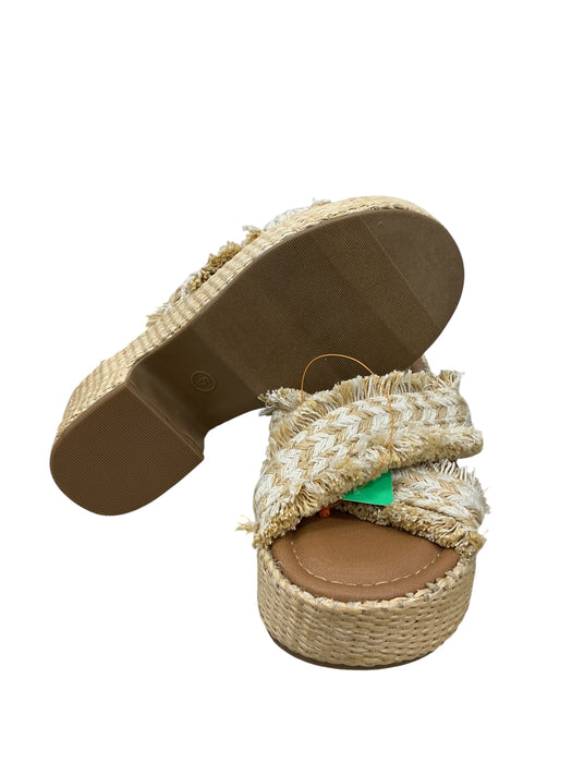 Plataforma 6 (UNIVERSAL THREAD)