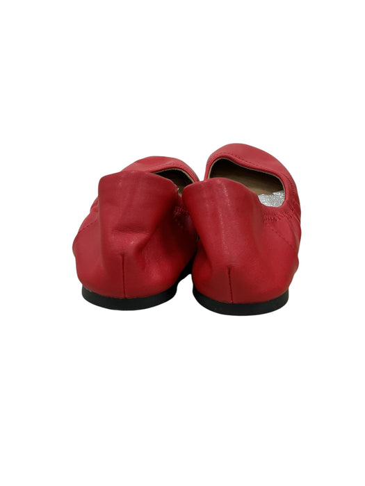 Zapato 6