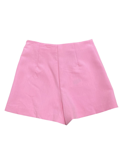 Falda S (ZARA)
