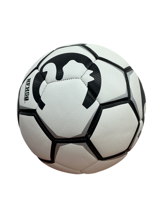 Pelota para futbol (NFHS)
